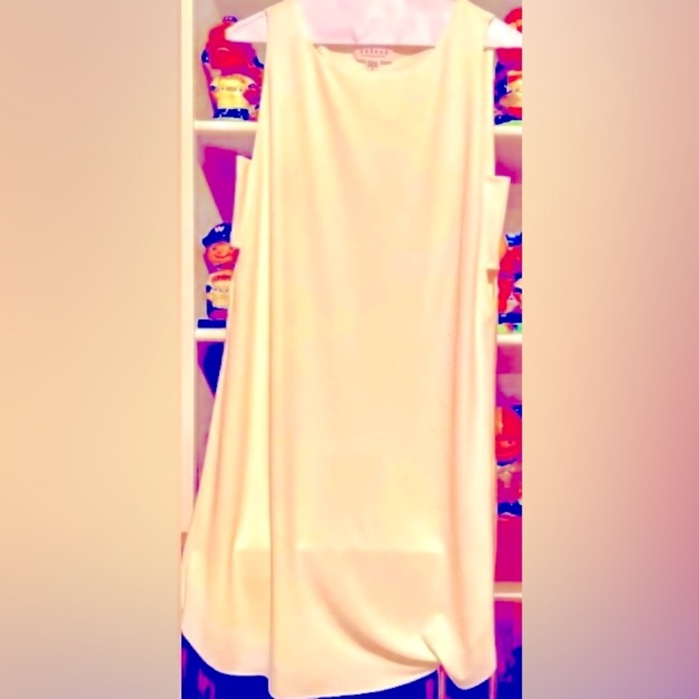 Graham & Spencer dress